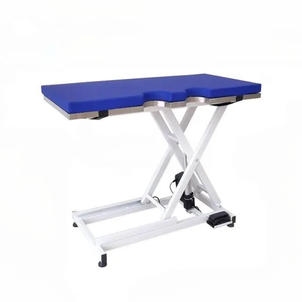 Pet electric lifting ultrasound table