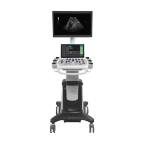 Ultrasound