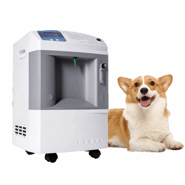 Portable Oxygen Concentrators 10L - Image 3