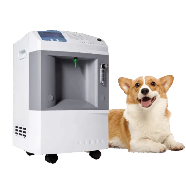 Portable Oxygen Concentrators 10L - Image 3
