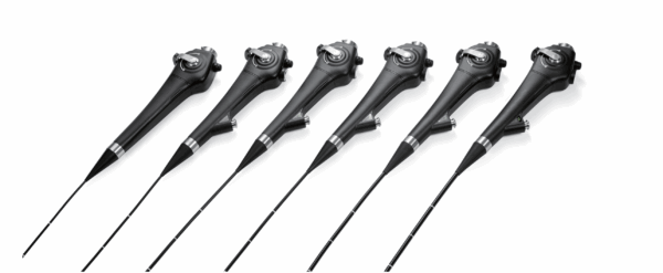 Veterinary Endoscope - Image 4